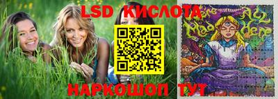 гидропоника Новокубанск