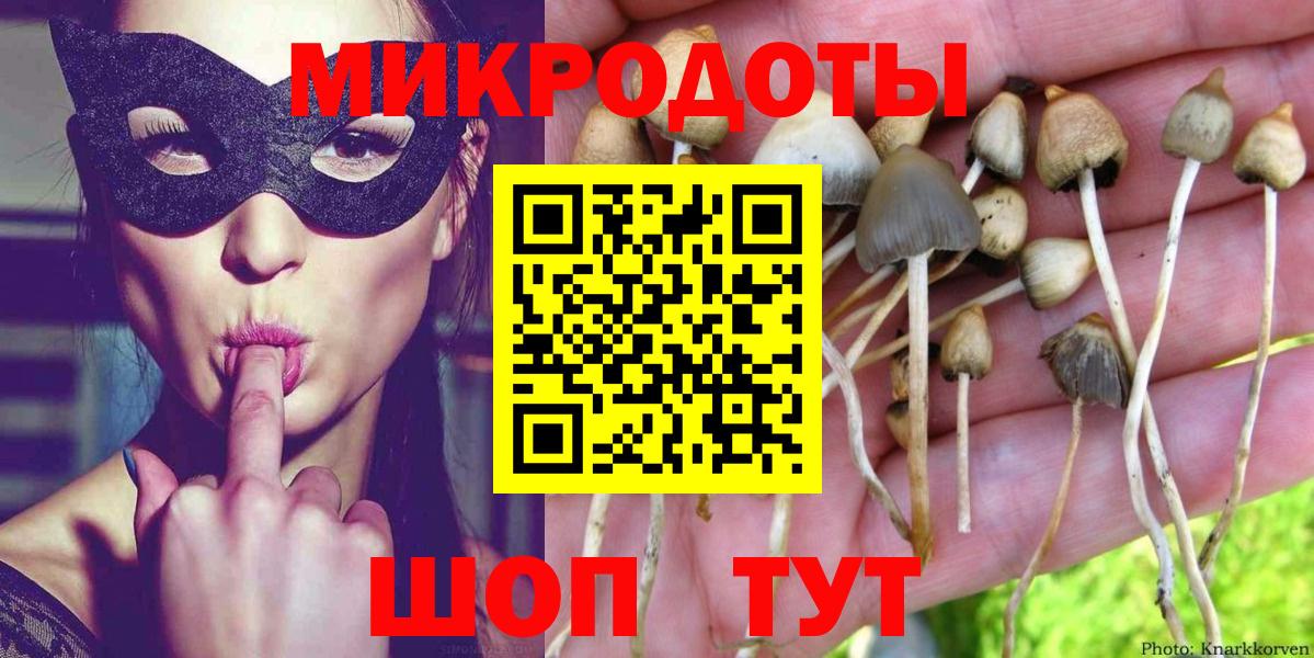 Галлюциногенные грибы Magic Shrooms  Галлюциногенные грибы ЛСД  Чистополь  Вход с VPN 